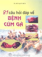 81 câu hỏi đáp về bệnh cúm gà