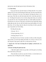 NỘI DUNG CHUYÊN ĐỀ HẠCH TOÁN VỐN BẰNG TIỀN