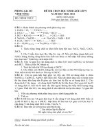 Gián án HSG Vinh Tuong -Vinh Phuc