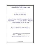 Luận văn nghiên cứu đặc tính nông sinh học các dòng, giống bơ (persea americana mills ) phục vụ công tác chọn tạo giống tại tây nguyên 