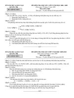 Đề thi HK I năm học 2008- 2009 (TL)hay hay