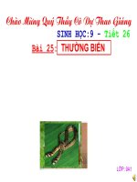 Gián án bài 25: THƯỜNG BIẾN