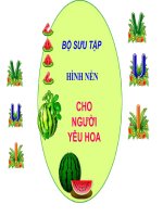 Tài liệu BỘ SƯU TẬP HÌNH NỀN CHO NGƯỜI YÊU HOA