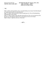 Gián án Đề kiểm tra học kì I 2010 - 2011