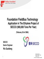 Foundation fieldbus technology  secco 0306 