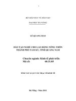 Đào tạo nghề cho lao động nông thôn thành phố tam kỳ, tỉnh quảng nam 