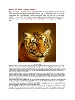 Bài giảng Vì sao gọi hổ là ông ba mươi