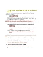 separable phrasal verbs with long objects