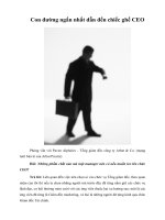 Con đường ngắn nhất dẫn đến chiếc ghế CEO