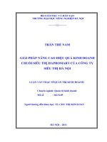 Luận văn giải pháp nâng cao hiệu quả kinh doanh chuỗi siêu thị hapromart của công ty siêu thị hà nội 
