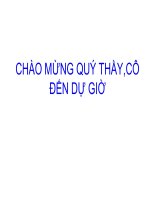 Ôn tập chương 2( Tiết 2)
