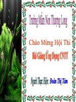 Bài giảng mùa xuân
