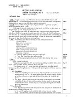 D.an de thi HKI N.van9 (10-11) B.Phuoc