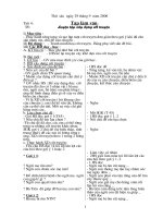 Bài giảng Tuần 4/thứ 6