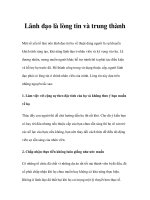 Lãnh đạo là lòng tin và trung thành