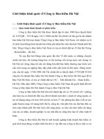 Giới thiệu khái quát về Công ty Bảo hiểm Hà Nội