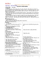 Gián án Giáo án lớp 3 kì I