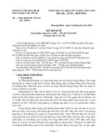 Bài soạn Du thao ke hoach 2011