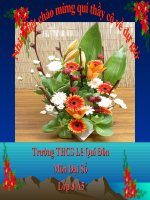 Bài soạn ĐẠI SÔ 8 TIẾT 44 DLA