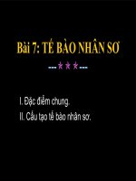 Tài liệu Bài 7: Tế Bào Nhân Sơ