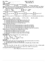 Gián án Đề kt  HKI Hoa 8