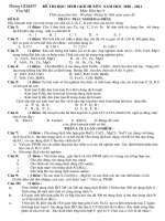 Gián án Đê thi HSG huyên Yên Mỹ _ HY 10.11