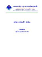 Bệnh hại dưa bầu bí