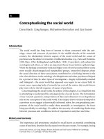 Conceptualising the social world