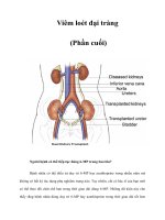 Viêm loét đại tràng (Phần cuối)