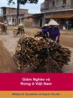 Giảm nghèo và rừng ở Việt nam