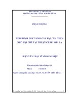 Luận văn tình hình phát sinh gây hại của nhện nhỏ hại chè tại thuận châu, sơn la 