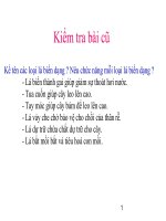 Bài soạn BAI GIẢNG SINH HỌC 6