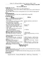 Gián án Kế hoạch bài học tuần 19 hoàn chỉnh (Sáng)