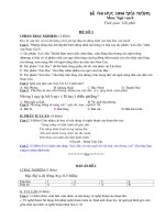 Bài giảng Đề thi HSG Ngữ văn 8 (cấp trường)