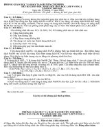 Gián án đề thi hsg hóa 9­