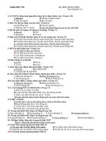 Bài giảng DE MANG MAY TINH