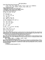 Bài soạn ôn tập lớp 10