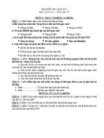 Bài giảng KT HK 2 Sử 9