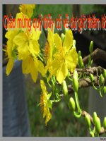 Bài soạn TRACH NHIEM CỦA THANH NIEN TRONG SU NGHIEP CNH - HDH DAT NUOC T2