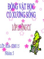 Bài giảng BẢI. PHÂN LOẠI LƯỠNG CƯ