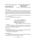 Bài giảng Đề thi HSG Văn 9 cấp tỉnh năm 09-10