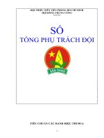 Bài soạn so tong phu trach