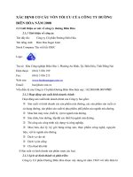 XÁC ĐỊNH CƠ CẤU VỐN TỐI ƯU CỦA CÔNG TY ĐƯỜNG BIÊN HÒA NĂM 2008