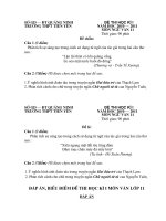 Tài liệu Ngữ Văn 11: Đề thi - Đáp án HK1 2010-2011