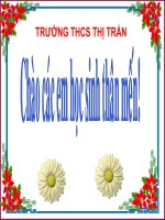 Gián án ĐẢNG CS VN RA ĐỜI