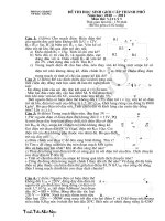 Đề thi HSG TP Bắc Giang 2010-2011