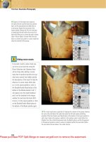 Creative Photoshop: Digital Illustration and Art Techniques Photoshop Cs4- P9