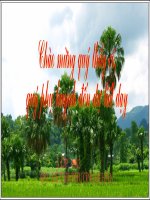 Bài soạn phép cộng