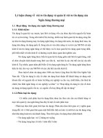 Lý luận chung về  rủi ro tín dụng và quản lý rủi ro tín dụng của Ngân hàng thương mại