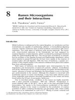 Quantitative aspects of ruminant digestion and metabolism - Phần 6
